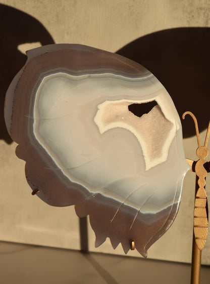 Druzy Agate Butterfly Wings