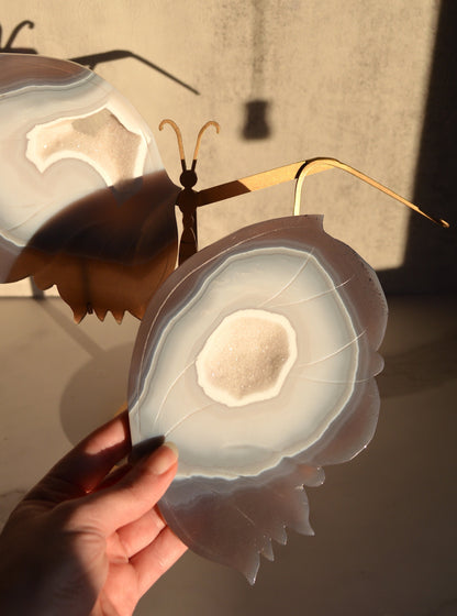 Druzy Agate Butterfly Wings