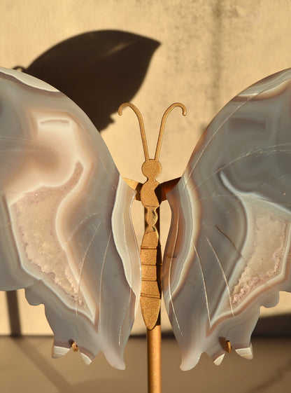 Agate Butterfly Wings on Stand
