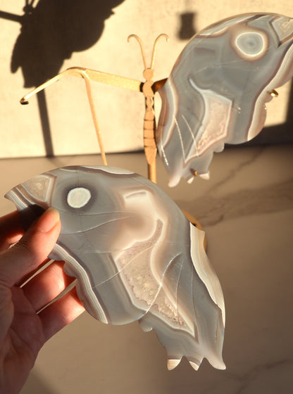 Agate Butterfly Wings on Stand