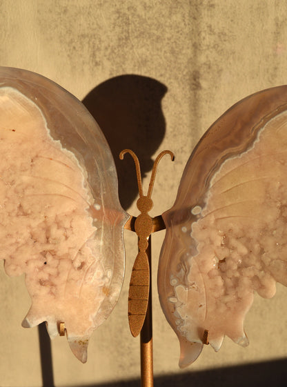 Druzy Pink Amethyst Butterfly Wings on Stand