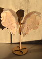 Druzy Pink Amethyst Butterfly Wings on Stand