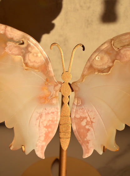 Flower Agate Butterfly Wings on Stand