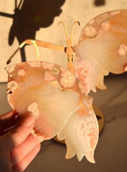 Flower Agate Butterfly Wings on Stand