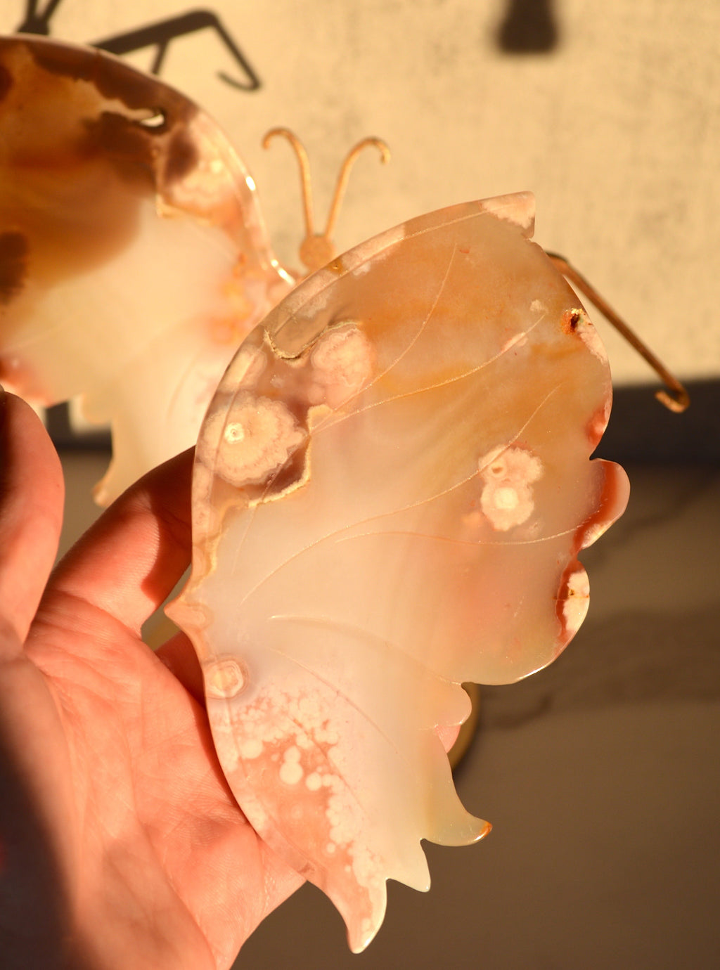 Flower Agate Butterfly Wings on Stand