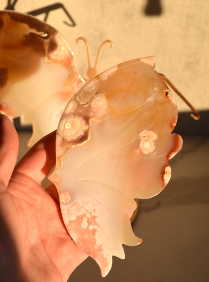 Flower Agate Butterfly Wings on Stand