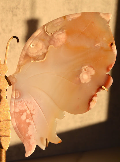Flower Agate Butterfly Wings on Stand