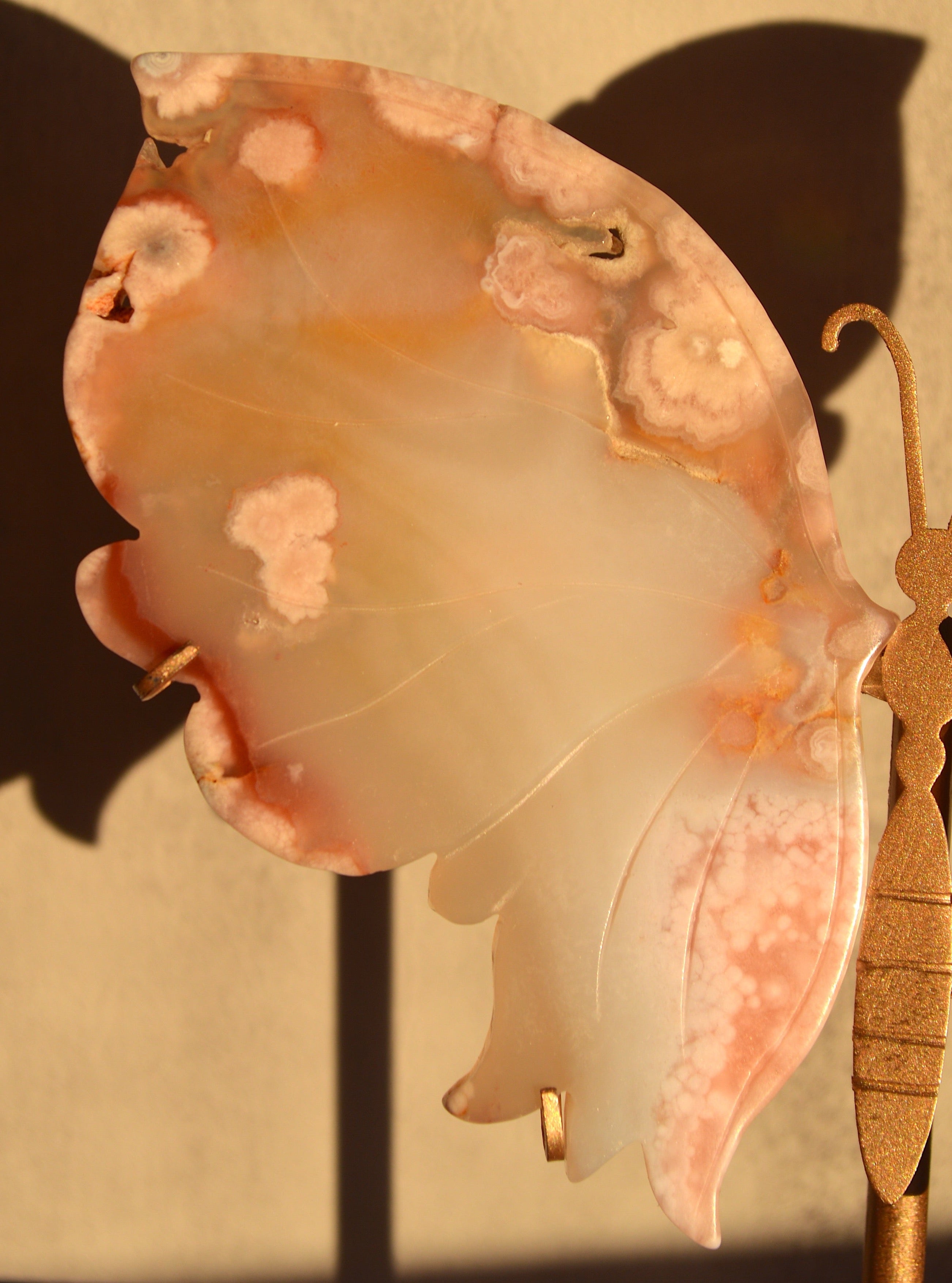 Flower Agate Butterfly Wings on Stand
